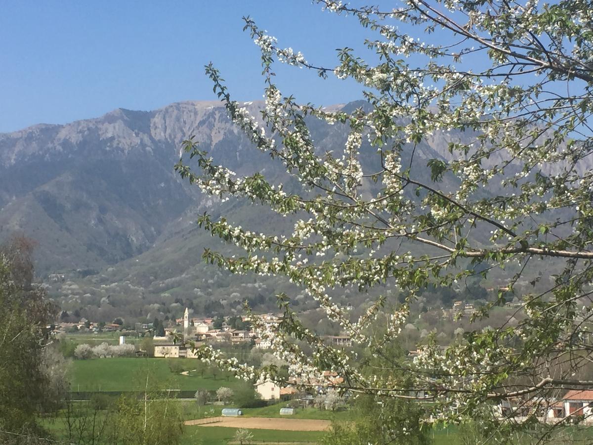 Boccaor Διαμέρισμα Paderno del Grappa Εξωτερικό φωτογραφία